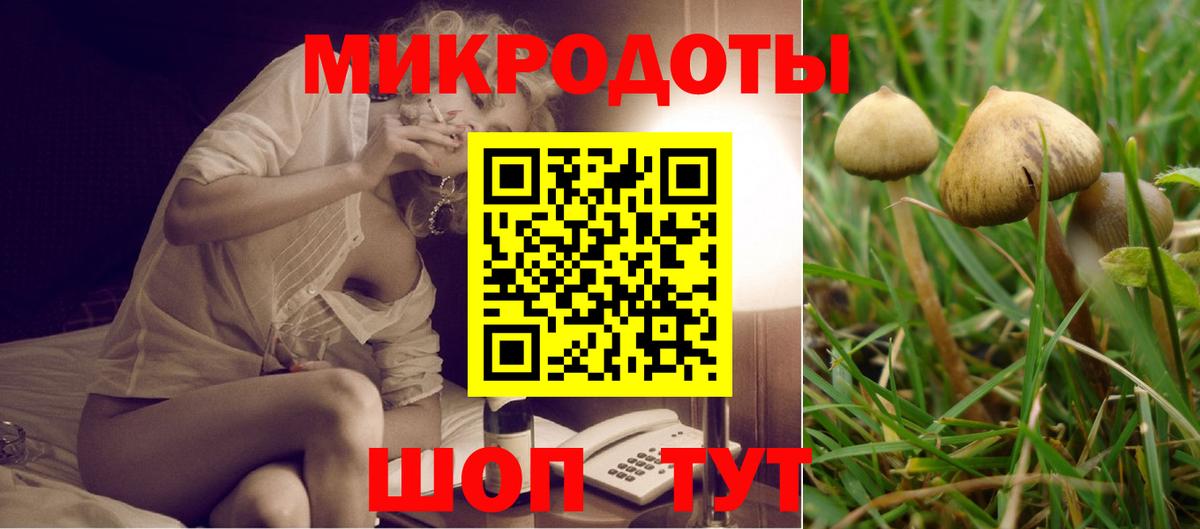 Михайловка  Псилоцибиновые грибы ЛСД  Вход с VPN  Псилоцибиновые грибы прущие грибы 